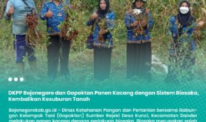 P-IMG-20230529-WA0016