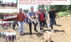 Screenshot_2024-01-26-16-04-41-51