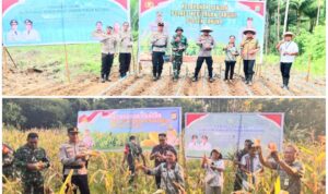 Screenshot_20251106_192759_Gallery