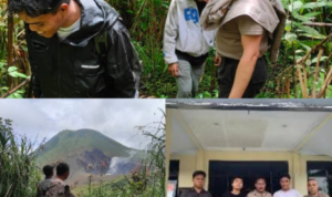 GridArt_20260219_212715120_copy_464x464