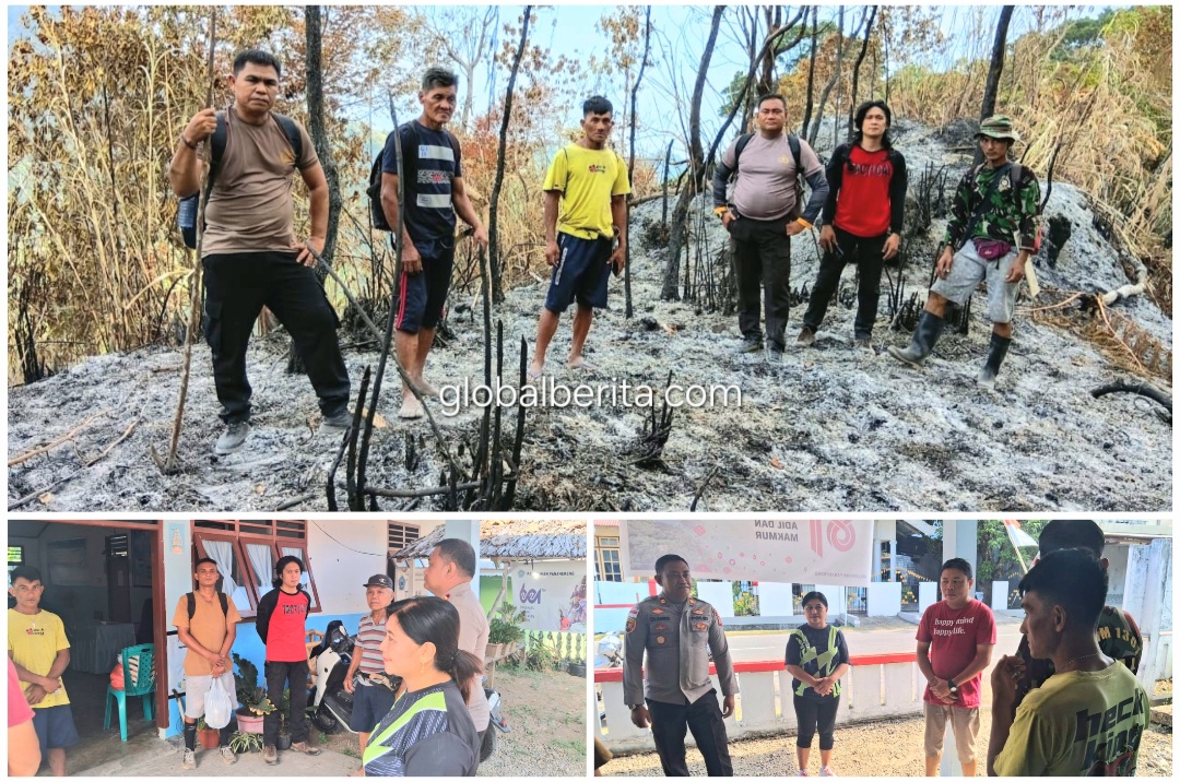 Screenshot_20260925_194627_Gallery